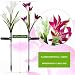 swonuk Lampara Solar Flores,Juego de 3 Luces Solares con 12 Flores de...