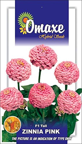 Omaxe Zinnia F1 Tall Pink - 2 Packets Contains 50 Seeds Each (B00LC0KTL2) Amazon Price History, Amazon Price Tracker