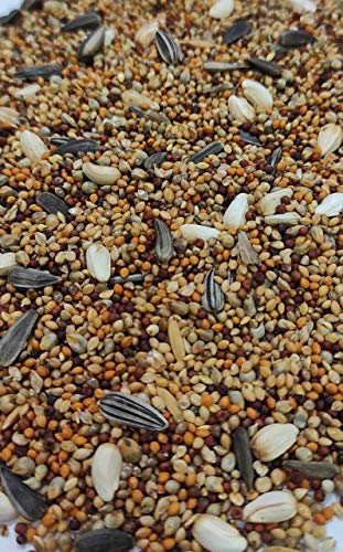 RS-Birds-Grains-Pet-Loves-Mix-Seed-Bird-Food-Seed-Food-for-Birds-of-All-Life-Stages-1-KGPack-of-1