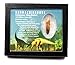 Rebbachisaurus Sauropod Dinosaur Tooth Fossil 1.315w/ Display Box MDB #17344 13o