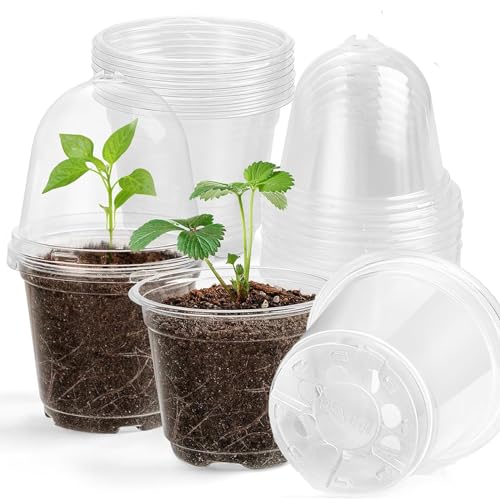 Amazon.co.jp: 育苗ポット ミニ植木鉢 プラスチック 透明苗ポット 10個