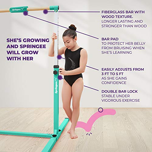 Springee Adjustable Height Team Gymnastics Bar - Gymnastics Equipment for Home - Kip Bar - Teal