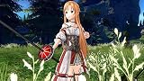 Sword Art Online Hollow Realization sur PS Vita – photo 2