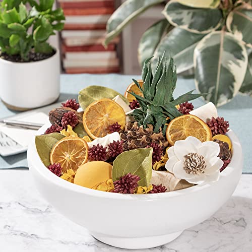Andaluca Decorative Fragrance Tropical Pineapple Potpourri With Fragrance Vial (Pineapple Paradise) #TOP2