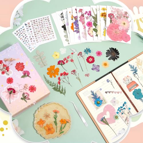 Image of 500 PCS Dried Flowers Butterfly Stickers for Crafts Real Natural Pressed Flowers Dry Leaves Kit for DIY Making Crafts Resin Soap Candle Scrapbook Supplies Card Making Jewelry