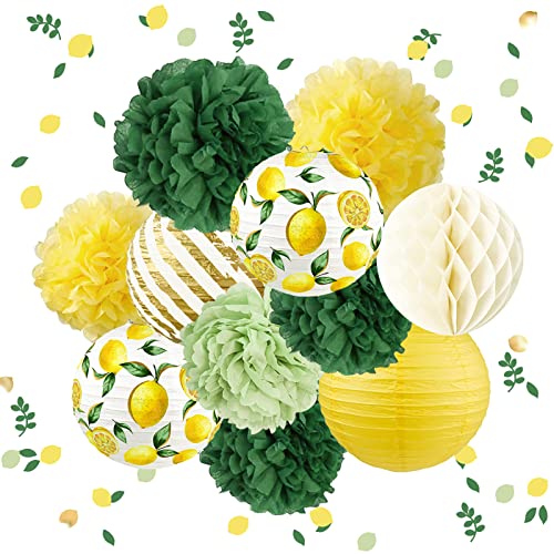 AOBKIAT Lot de 11 lanternes en papier à motif citron jaune vert blanc et blanc pour fête prénatale neutre, fête vintage, anniversaire, fête nuptiale, mariage rustique Cover