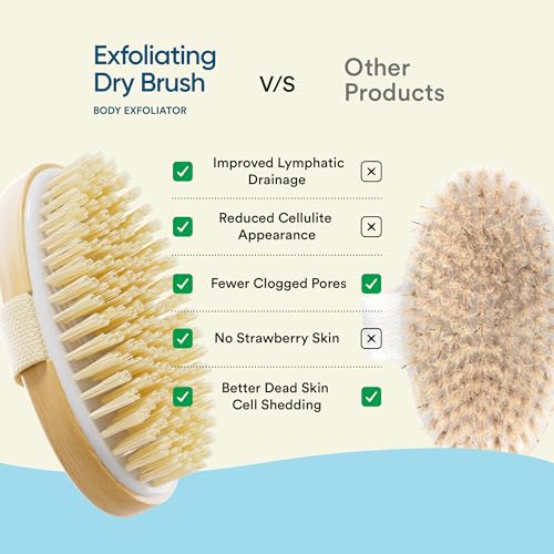 Bloom Exfoliating Oval Dry Bath Brush | For Lymphatic Drainage & Cellulite Appearance | Sheds Dead Skin Cells & Prevents Ingrown Hair | Wooden Bath Brush with Natural Bristles |... - Image 5