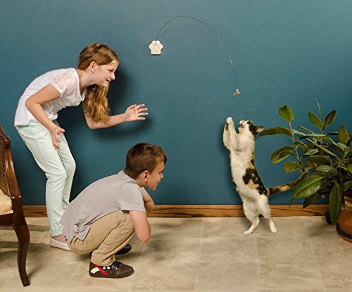 Brinquedo Gato Cat Dancer - Pack 6 Unidades - Exercício Interativo
