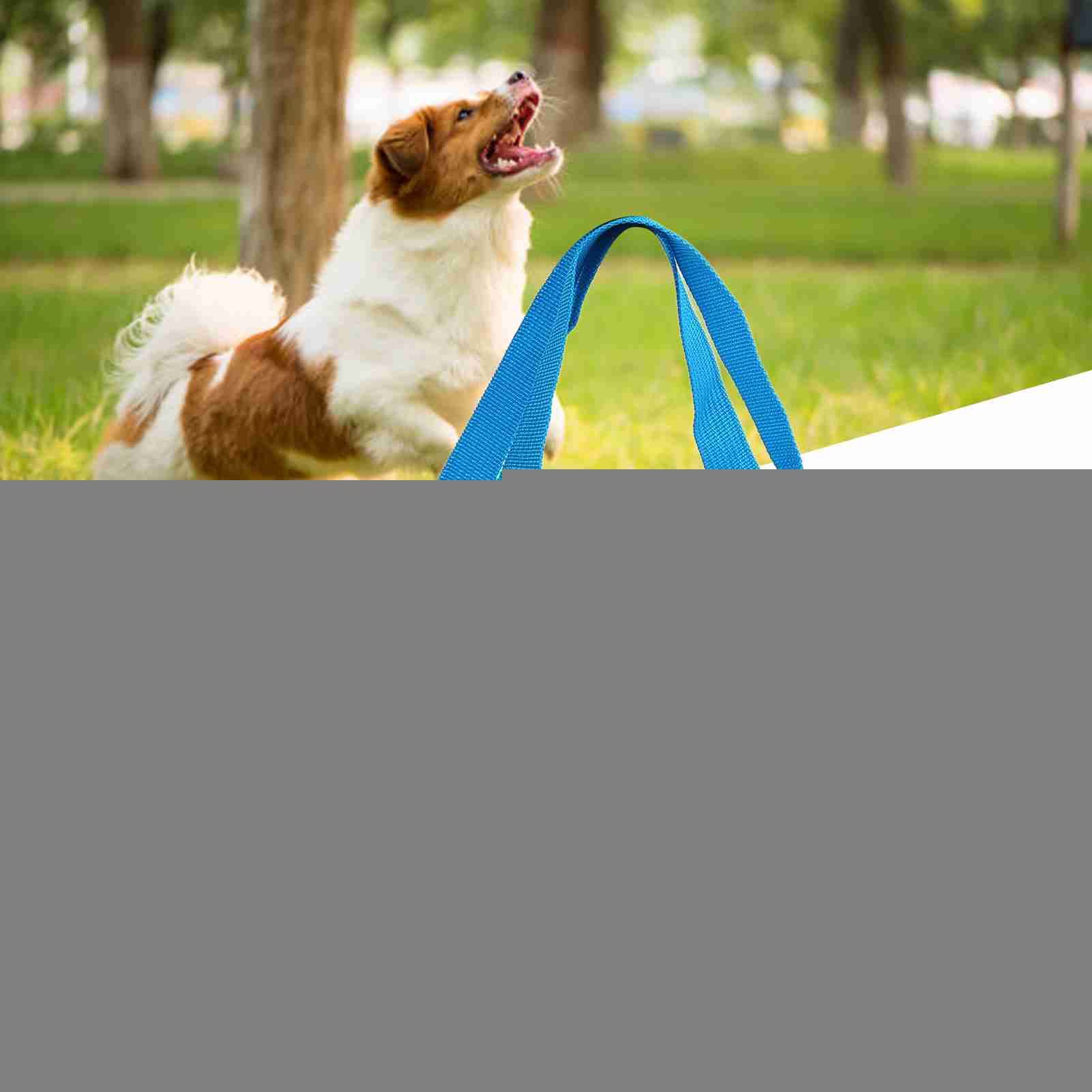 Hondenliftharnas, Pet Sling Support, Verstelbaar Revalidatie Van Huisdieren Heft Vest Op Hond Draagt Slinger voor Oude, Gehandicapte, Gewrichtswonden, Verlammingshonden Lopen (XS