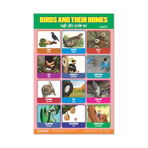 Image of ESCAPER Birds & Their Homes Educational Charts for Kids Learning, (11.5 x 17.5 inches), 300 GSM Paper Laminated, Self Adhesive Back Kids Study Material, Learning Chart, Educational Posters