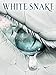 White Snake - Die Legende der weißen Schlange