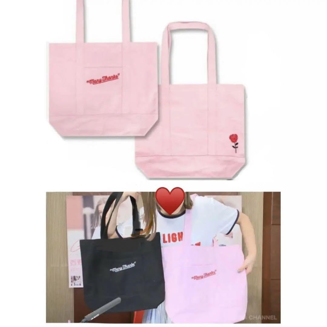 ❗️最終値下げ❗️西野カナ 激レア！トートバック ミュージシャン