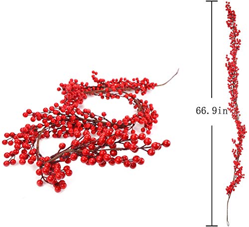 LOKIPA Ghirlanda natalizia con bacche rosse, 1,7
