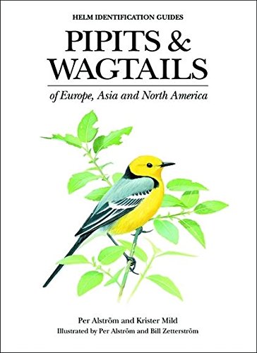 Pipits and Wagtails of Europe, Asia and North America: Identification and Systematics (Helm Identification Guides)