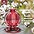 Glass Hummingbird Feeder for Outdoors Hanging, 26Oz Bird Nectar Feeder with Perch & 5 Flower Feeding Ports, Leak Proof for Outside Garden Decor Backyard, Gifts for Women Mom, Red