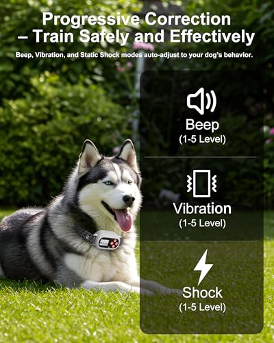 GI4MI Dog Wireless GPS Fence Setup