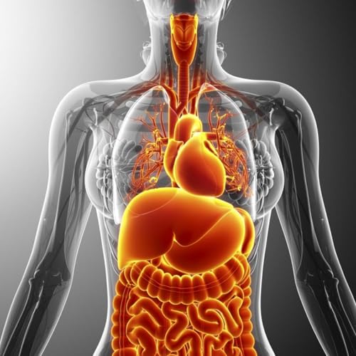 L'&acirc;me, le corps et le langage