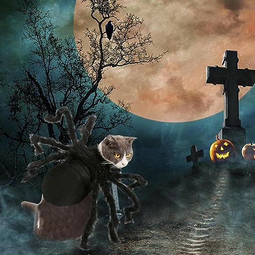 Disfraz de Araña para Perro Halloween Talla M miniatura 2