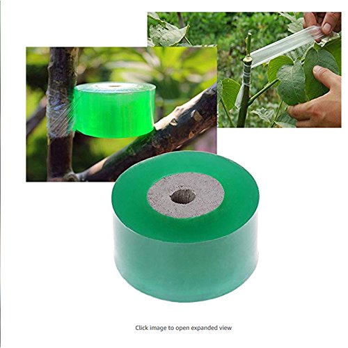 Preisvergleich Produktbild Tofree Rolle Veredelungsband Gartenbedarf Obstbaum Zucht Zubehör 3cm Veredelungsband Selbstklebeband Veredelungsband für Apfelpfirsichbaum Birnenbäume grün grün