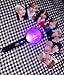DIDIDIBOMB BTS Lightstick，Army Bomb Lightstick，Soul Map Special Edition, Adjusting Bright Colors by Connecting to The app.(Including 7 Beautiful Photos)