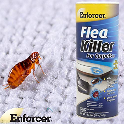 Enforcer Flea Killer for Carpets - 20 Ounce (Pack of 2) EFKOB203 - Breaks the Flea Life Cycle, Fresh Ocean Scent - Image 2