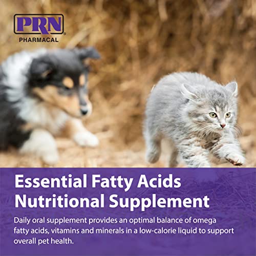 PRN Pharmacal OPTIMA 365 – Essential Fatty Acids Nutritional Supplement for Cats & Dogs – With Omega-3, Omega-6, Omega-9, & Other Vitamins & Minerals to Support Overall Pet Health – 16 Fl Oz PRN Pharmacal OPTIMA 365 – Essential Fatty Acids Nutritional Supplement for Cats & Dogs – With Omega-3, Omega-6, Omega-9, & Other Vitamins & Minerals to Support Overall Pet Health – 16 Fl Oz