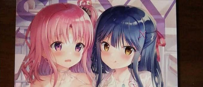 Amazon Melonbooks Girls Collection イラスト画集 アニメ 萌えグッズ 通販