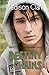 Cover zum Buch Destiny Chains: Band 1