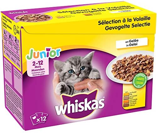 Whiskas Junior Sachets Fraicheur Pour Jeune Chat Et Chaton 2 12 Mois Selection Mixte En Gelee 48 Sachets Repas De 100g Amazon Fr Animalerie Whiskas Junior Sachets Fraicheur Pour Jeune Chat Et Chaton 2 12 Mois Selection Mixte En Gelee 48 Sachets Repas De 100g Amazon Fr Animalerie