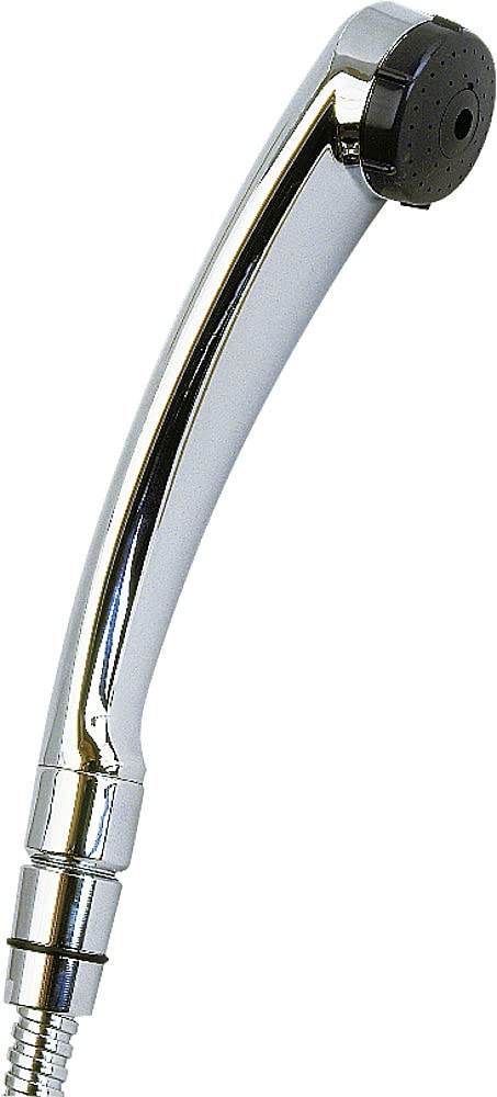 Reich Handbrause Duett chrom 1/2 Zoll