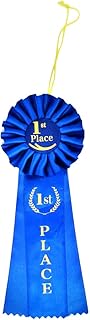 Treasure Gurus Deluxe 1st First Place Blue Rosette Ribbon Winner Medal Badge Class Trophy School Award
