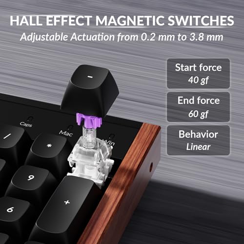 Image of Keychron K10 HE Hall Effect Keyboard Wireless, Magnetic Switch Hot Swappable, Adjustable Actuation Rapid Trigger Mode with Aluminum + Wood Frame, Full-Size Custom RGB for Mac Windows Linux - Black