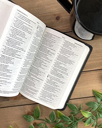 NLT Premium Value Compact Bible, Filament-Enabled Edition (Leatherlike, Black Mountainscape)