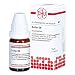 Produktbild DHU Sulfur D6 Streukügelchen, 10 g Globuli