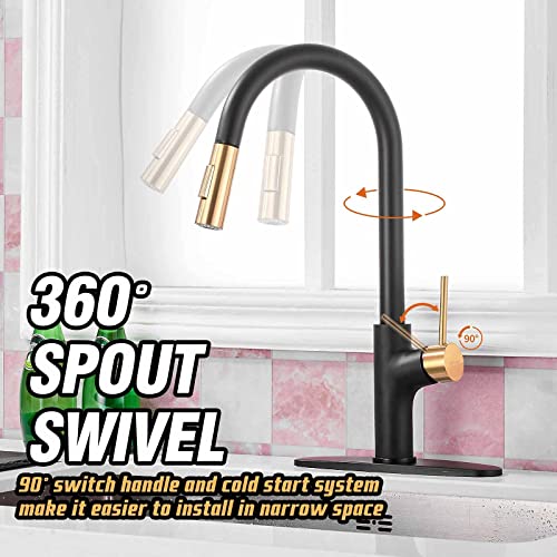 Achelous Black And Gold Kitchen Faucet With Soap Dispenser, Pull Down Magnetic Docking Sprayer,Stainless Steel Pull Out Rv Kitchen Sink Faucets,Single Handle Deck Mount #TOP1