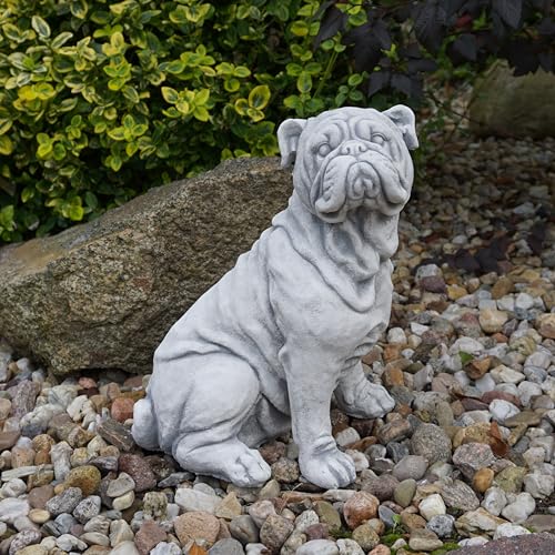 gartendekoparadies.de Englische Bulldogge, Steinfigur, H. 32 cm, 10 kg, Grau, frostsicher aus Steinguss für Außenbereich