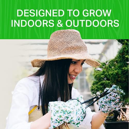 Plant Theatre Bonsai Tree Kit  3 Tree Starter Set w/Bonsai Seeds, Peat Blocks, Pots and Markers  Gardening Gifts for Men and Women