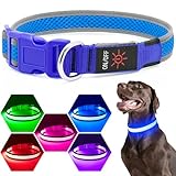 Flashseen LED Dog Collar, Light Up Dog Collar USB Rechargeable, Brightest Dog Lights for Night Walking, Adjustable Dog Collar Light for Dog Safety(Medium, Royal Blue)