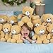 Tezituor Teddy Bears Bulk 6 Packs for Baby Shower - Small Teddy Bear Stuffed Animal Bulk 12