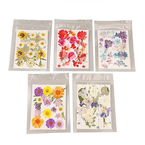 Flores prensadas surtidas 5 bolsas, 100 piezas artesanales miniatura 1