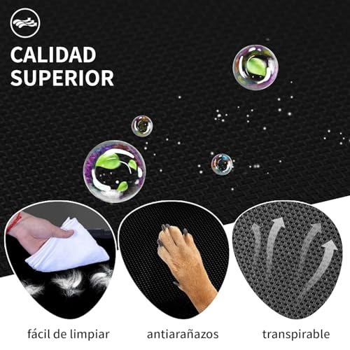 Perro, Pet Products Imagen adicional