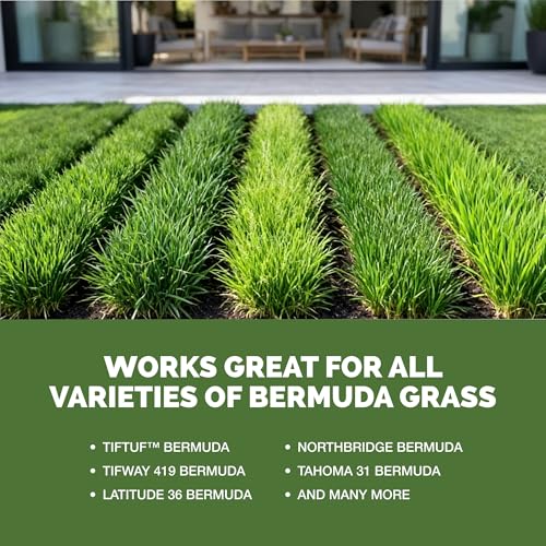 Fertilizante Líquido para Césped Bermuda 1 Galón miniatura 5