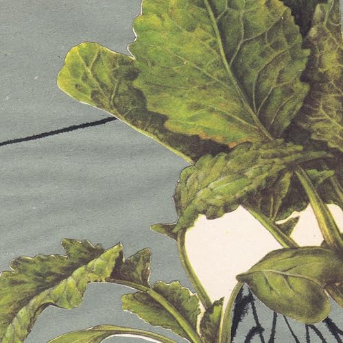 13 Ein Lied &uuml;ber Steine und Gef&uuml;hle