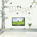 Amaonm® Giant Large Family Photo Tree Wall Decal Decor Birds Tree Branches & Lettering Memory Wall Stickers Murals for Bedroom Living room, 12pcs Frame, size:114