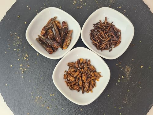 Insekten zum Essen 3er-Pack verzehrfertig von Catch-Your-Bug, gewürzte Heuschrecken, Mehlwürmer & Grillen, essbare Insekten für Menschen 40g, High Protein Snack mit über 40% Protein