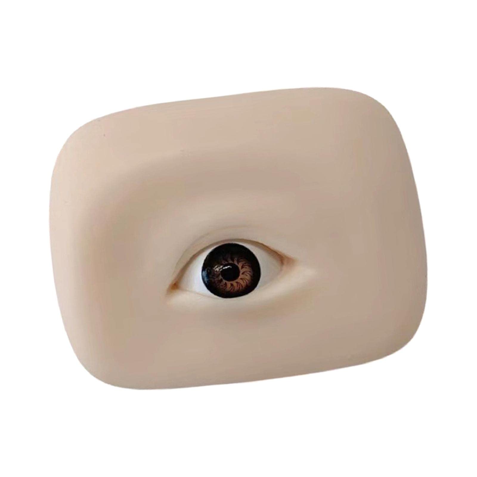 ATORSE® Silicone Eyes Model With Eyeball Practice Lightweight Brown Right-picture-41