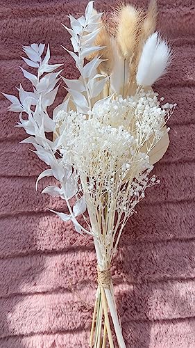 VELAFEE Sweet Dried Flowers Bouquet for Room Decor Cake Decor - 10 Stems - 1 Dried Palm Leave 3 Natural Bunny Tails 4 White Bunny Tails 1 Ruscus 1 White Million Star
