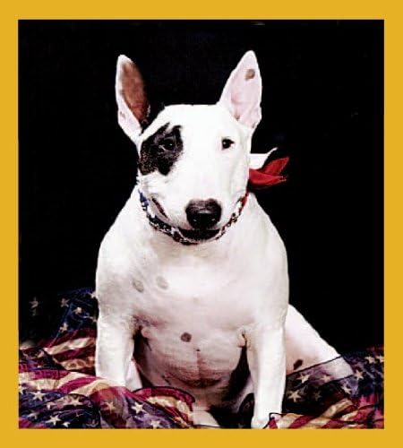 Gift Trenz English Bull Terrier Puppy Magnetic Bookmark