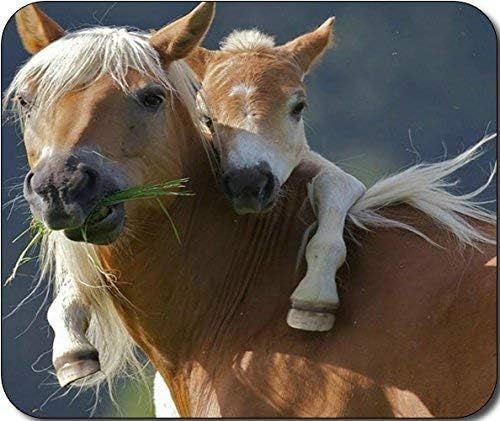 Horse with Foal Large Mousepad Mouse Pad Great Gift Idea by MYDply
