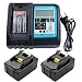 Produktbild URUN 2 x BL1850 18V 5.0Ah Akku mit 3A Ladegerät DC18RC DC18RD DC18RA Kompatibel mit Makita Baustellenradio DMR100 DMR108 DMR106B DMR102 DMR104 DMR110 DMR103B BMR104 18 Volt Funkbatterie